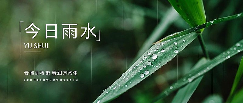 企业雨水节气祝福实景感公众号首图