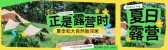 模板缩略图