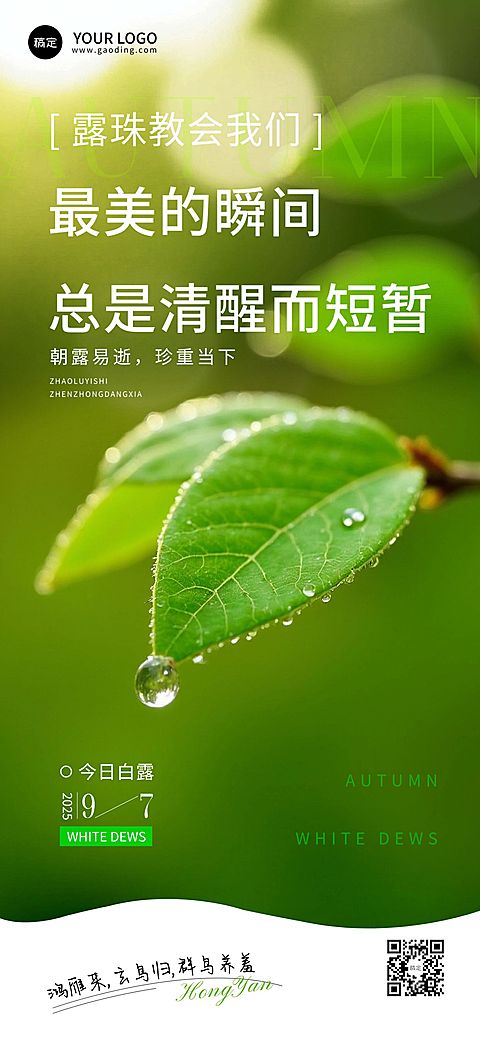 白露节气祝福光影感全屏竖版海报AIGC