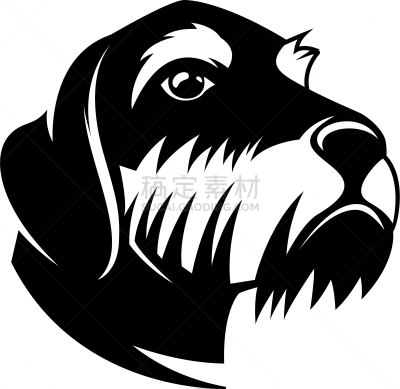 品牌名称,腊肠犬,标签,动物头,化学元素周期表,可爱的,纯种犬,梗犬,设计,问候