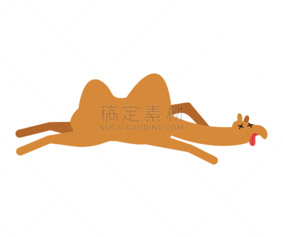 动物,骆驼,沙漠,热,游牧民族,哺乳纲,户外,全身像,分离着色
