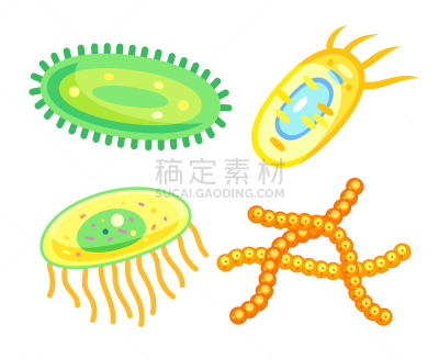不卫生的,细菌,计算机图标,生物学,微生物学,小的,鞭毛,动物