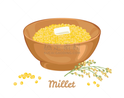 食品,无谷蛋白,绘画插图,卡通,碗,有机食品,稷,平坦的,粥,谷类