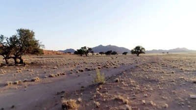 日落时分的纳米比亚沙漠。道路和树木的鸟瞰图