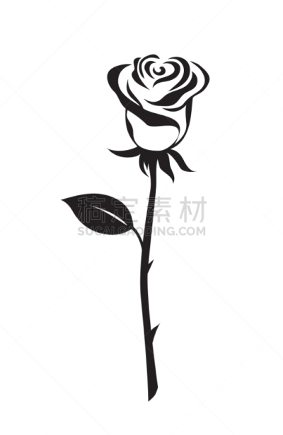 计算机图标,玫瑰,华丽的,请柬,华贵,植物群,婚礼,自然美,花