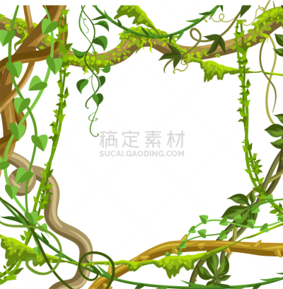 枝,野生植物,藤蔓植物,边框,环境,野生动物,植物群,公园,植物,缠绕