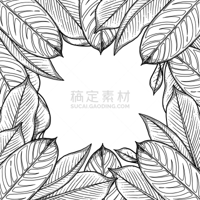 海里康属,叶子,插画,亚洲,自然,热带雨林,浪漫,图像,花朵,装饰