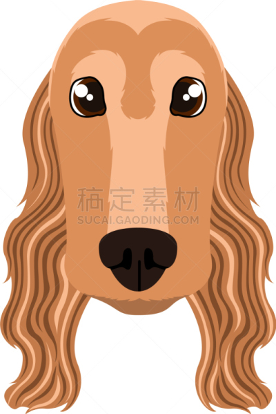 头像,分离着色,可爱的,宠物,纯种犬,肖像,图像,狗,性格