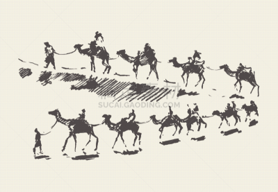 骆驼,沙漠,草图,旅行拖车,热,游牧民族,铅笔,哺乳纲,动物,绘制