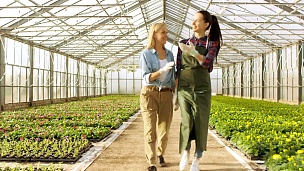两个快乐的工业温室工人走过一排排五颜六色的鲜花和绿色蔬菜。他们微笑着，对他们种植的有机食品感到高兴。