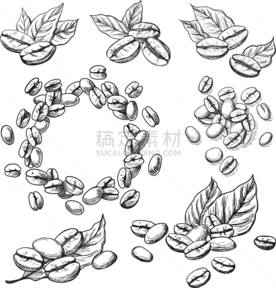 咖啡,叶子,谷类,分离着色,农业,拿铁咖啡,清新,食品,早餐,卡布奇诺咖啡