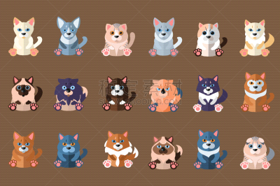 宠物,家畜,大型猫科动物,可爱的,纯种犬,德文郡,图像,猫,哺乳纲,收集