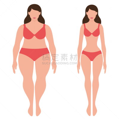 女人,苗条,肥胖,修改系列,概念,腰部,分离着色,人,比例