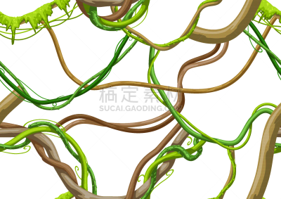 热带雨林,枝,野生植物,藤蔓植物,四方连续纹样,纺织品,环境,野生动物,壁纸,缠绕