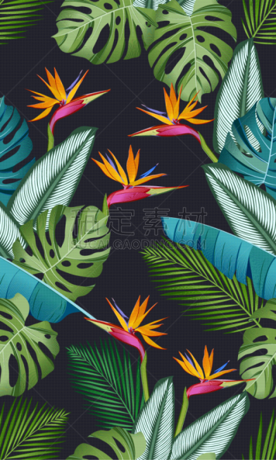 鸟类,鸡尾酒,四方连续纹样,清新,纺织品,干酪藤,壁纸,Calathea,植物