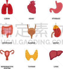 图标集,白色,生物学,分离着色,健康保健,人,矢量,收集