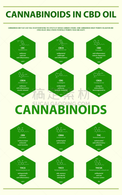 香熏油,垂直画幅,实验室玻璃器皿,信息图表,脂肪细胞,植物,光谱色,心血管系统,人类消化系统