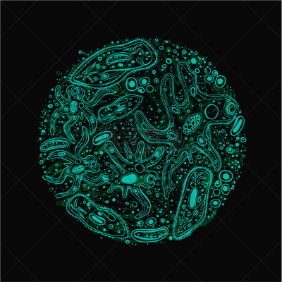 图像,微生物,动物手,动物,单细胞生物,生物学,微生物学,健康保健,细胞质,绘制