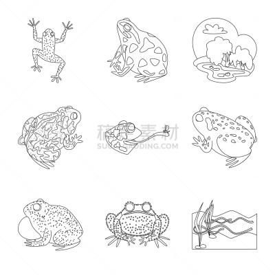 动物,两栖纲,符号,生物学,有毒物质,野生动物,青蛙,池塘,草,牛蛙