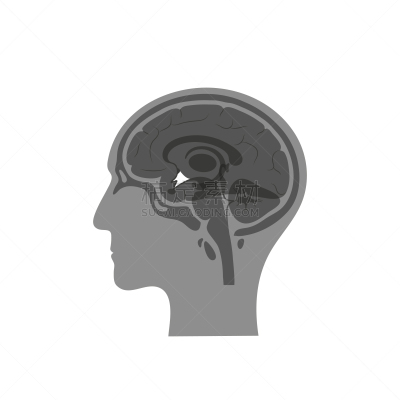 下丘脑,生物学,中脑,半球体,男人,概念,内分泌系统,思考,手术