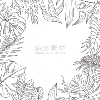 矢量,背景,热带灌木,太平洋岛屿,背景分离,热带气候,干酪藤,枝繁叶茂,春天,植物