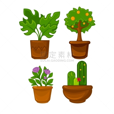 叶子,植物群,锅,熏衣草,花盆,小苍兰,草,风信子,花,布置