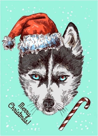 明信片,红色,因纽特人,冬天,雪,猎犬,圣诞老公