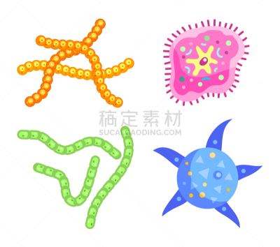 比例,细菌,生物学,丝状的,微生物学,显微镜,健康保健,分子,动物,堆