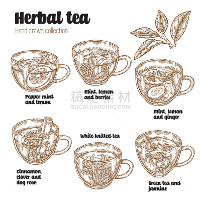 配方,多样,绿茶,茶,饮料,热,菜单,清新,绘制