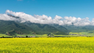青海的风景