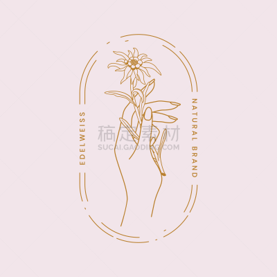 品牌名称,绘画插图,自然,符号,火绒草,矢量,山,手牵手,肉汁,花