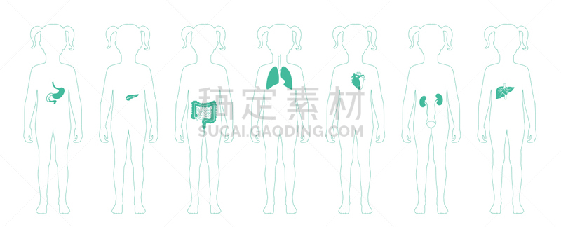分离着色,健康保健,人,图像,女人,矢量,儿童,卵巢,剪影