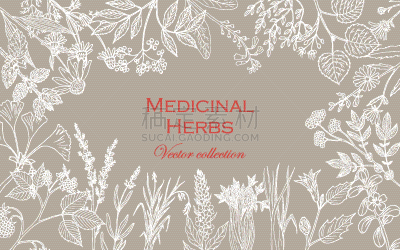动物手,草药,生物学,熏衣草,芹菜,健康保健,药,复古,绘制,收集