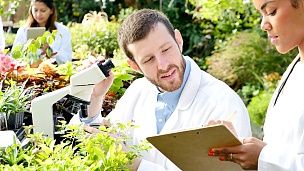 自信的男性植物学家在苗圃检查植物样本