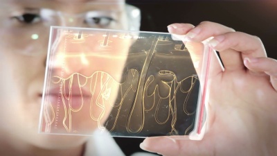 那位科学家正在分析头发的结构。