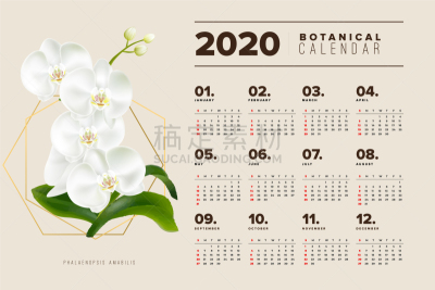 白色,兰花,植物学,日历,2020,九月,十月,事件,电子记事本,月