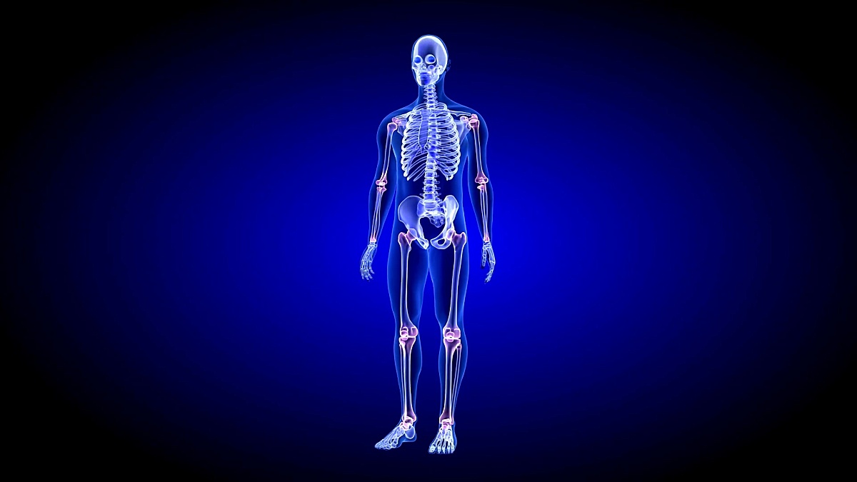 关节疼痛。蓝色人体解剖体3D扫描渲染-旋转无缝环路