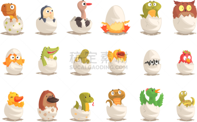 小鸟,爬行纲,卵,可爱的,热,清新,野生动物,孵化,布置,希望