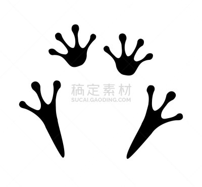 脚印,青蛙,矢量,黑色,平坦的,一个物体,背景分离,野生动物,简单,腿