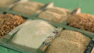 面粉厂磨碎的谷物样品