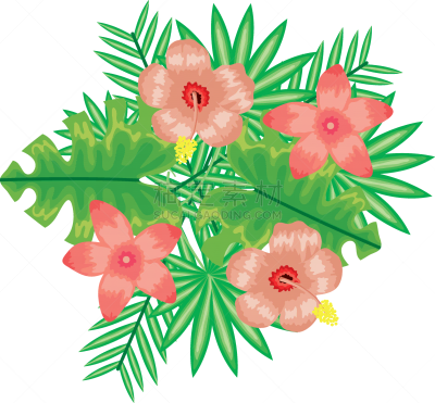 叶子,热带的花,菜园,热带气候,可爱的,鸡尾酒,自然,华丽的,季节,清新