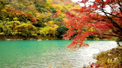 日本京都河边的夏山秋季。