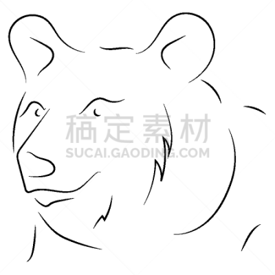 直的,熊,草图,动物手,黑白图片,野生动物,哺乳纲,绘制,复古