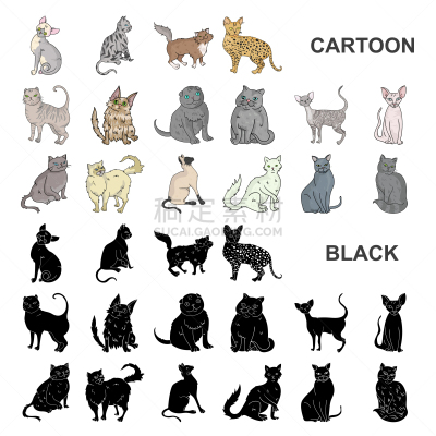 猫,卡通,计算机图标,可爱的,纯种犬,沙尔特勒猫,哺乳纲,动物,收集