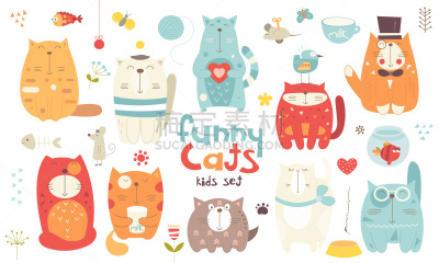 funny cats set