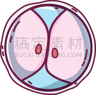 生物学,脱氧核糖核酸,胚胎,卵子,人,科学,生物科技,健康保健,分割
