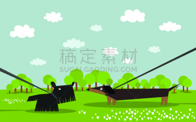 会议,派克大街,纯种犬,公园,狗,动物,腊肠犬,户外,乱画,职权