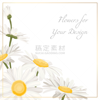 分离着色,草本,花束,雏菊,甘菊,夏天,黄色,白色,绿色,花