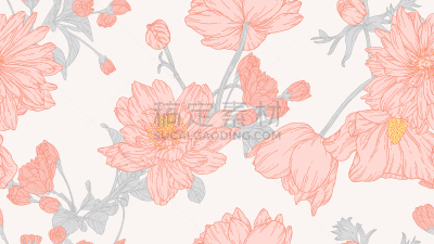 绘画插图,叶子,银莲花,墨水,四方连续纹样,线条画,红松,灰色,樱之花,花