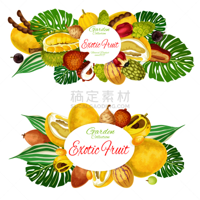 热带气候,水果,农作物,农业市集,生物学,农业,自然界的状态,食品,有机农庄,果汁